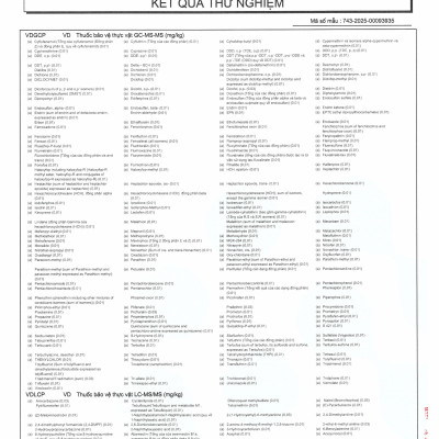 GẠO HỮU CƠ QUẢNG TRỊ  TỐT CHO NGƯỜI TIỂU ĐƯỜNG, GÚT VÀ BÉO PHÌ TÚI 5 KG