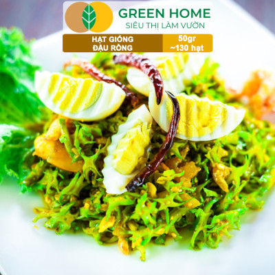 Hạt Giống Đậu Rồng Green Home, GÓI 50GR, Dễ Trồng Quanh Năm, Nảy Mầm Cao, Thu Hoạch Nhanh T46