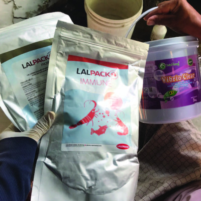 Điều tiết miễn dịch và tăng sức đề kháng tôm LALPACK IMMUNE