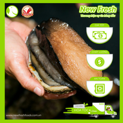 Bào Ngư Úc Viền Đen Đông Lạnh - Hộp 1Kg