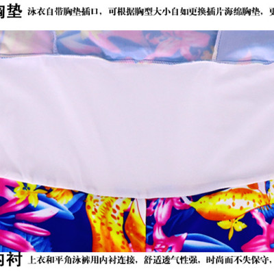 Váy Tắm Nữ Cỡ Lớn 70-85Kg Thanh Lịch