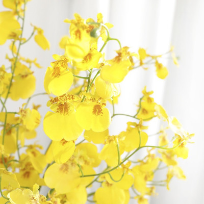Cành hoa vũ nữ giả - Cành 5 nhánh - dài 80cm - Cây giả, hoa lụa Decor trang trí nhà cửa