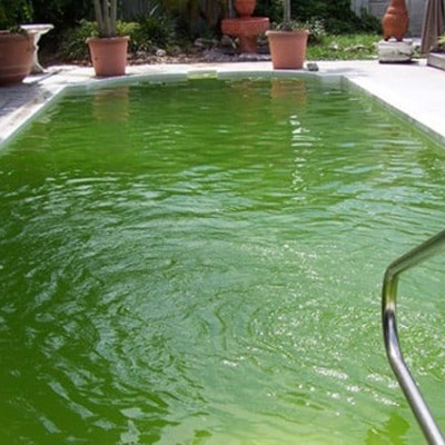 Đèn UV 40W AQUA SUV+ Diệt Khuẩn, Rêu Tảo Hồ Cá Koi , Xử Lý Nước Thải, Nước Sinh Hoạt Trong 7 Ngày