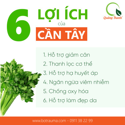 Bột Cần Tây Sấy Lạnh Nguyên Chất Quảng Thanh Túi 50gr  - Hỗ trợ giảm cân, giảm mỡ bụng, giảm mụn, giảm gút