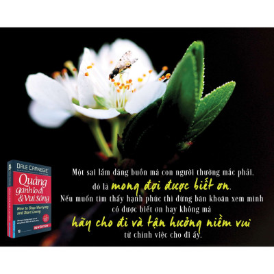 Quẳng Gánh Lo Đi Và  Vui Sống (Tái Bản)