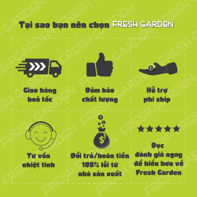 Bánh Quy Bơ Ăn Vặt FRESH GARDEN Vị Mứt Dâu Đặc Biệt Thơm Ngon Hộp 80g