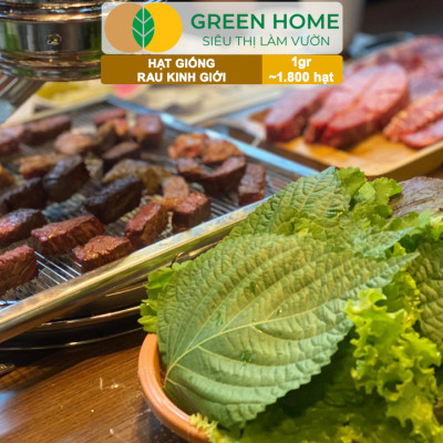 Hạt Giống Rau Kinh Giới, Bao 1gr~1800 hạt, Dễ Trồng, Nảy Mầm Cao, Thu Hoạch Nhanh, Năng Suất Cao G12