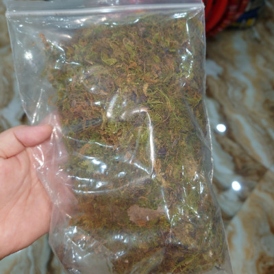 Rêu rải bồn cây - rêu trang trí chậu cây giả (giá 1 bịch)