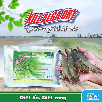 Gói Diệt Rong Drt - Giải pháp kiểm soát rong nhớt, rong bám hiệu quả cho ao nuôi tôm cá