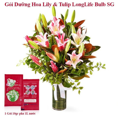Thuốc cắm hoa Lily lâu tàn nhập khẩu Israel (1 hộp 5 gói  pha 50L nước că) hiệu Longlife Bulbs Premium 2023 giúp hoa tulip và hoa lily tươi gấp 2 lần và 14 ngày không thay nước