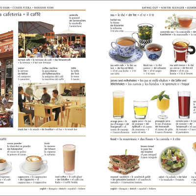 5 Language Visual Dictionary: Over 6,500 Illustrated Terms, Labelled In English, French, German, Spanish And Italian