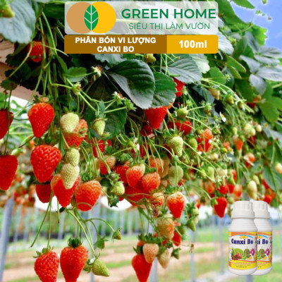 Phân Bón Vi Lượng Canxi Bo Greenhome, Chai 100ml, Kích Rễ, Chống Rụng Trái Non Trên Cây Trồng