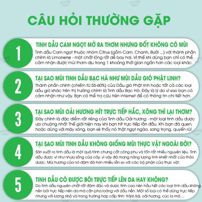 Tinh Dầu Bưởi Hồng Kobi - Tinh Dầu Thiên Nhiên Nguyên Chất, Tinh Dầu Xông Phòng, Giúp Giảm Stress, Xua Đuổi Côn Trùng Và Khử Mùi Hiệu Quả, Thích Hợp Dùng Với Đèn Xông Và Máy Khuếch Tán Tinh Dầu (5ml)