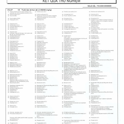 GẠO HỮU CƠ QUẢNG TRỊ  TỐT CHO NGƯỜI TIỂU ĐƯỜNG, GÚT VÀ BÉO PHÌ TÚI 5 KG