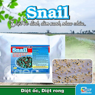 SNAIL – Xử lý ốc đinh, dòm xanh, hến, trong môi trường ao nuôi tôm cá