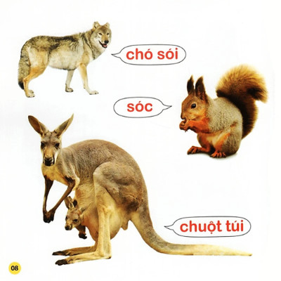 100 Từ Đầu Đời Của Bé