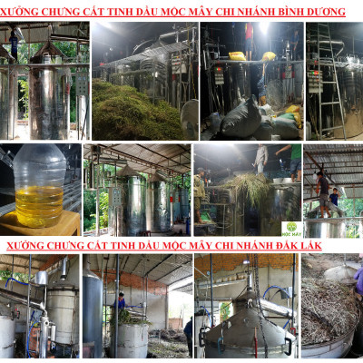 Tinh dầu Ngọc Lan Tây 100ml Mộc Mây - tinh dầu thiên nhiên nguyên chất 100% - chất lượng và mùi hương vượt trội