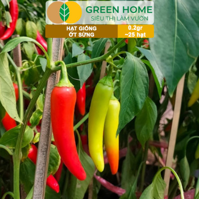 Hạt Giống Ớt Sừng Greenhome, Gói 0,2g~25 hạt, Dễ Trồng Quanh Năm,Thu Hoạch Nhanh, Năng Suất Cao G15