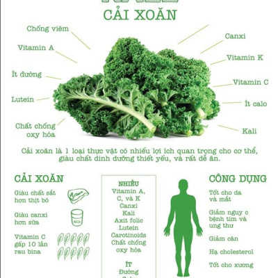 Bột cải Kale/Cải Xoăn hữu cơ nguyên chất sấy lạnh Dalahouse - Mẫu mới 2022 - Đào thải độc tố, chống ô xy hóa, bổ sung can xi hữu cơ cho cơ thể