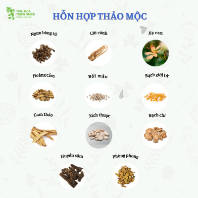 Combo 45 hộp viên ngậm ho thảo mộc Zalocol Hỗ trợ giảm đờm, giảm đau rát họng, khản tiếng do viêm họng, viêm phế quản (Hộp 20 viên) - Genat