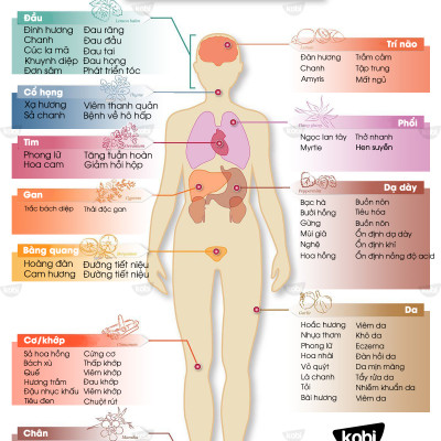 Tinh dầu Trầm Hương Kobi Agarwood essential oil giúp trấn tĩnh, kháng khuẩn, hỗ trợ thiền định hiệu quả - 5ml