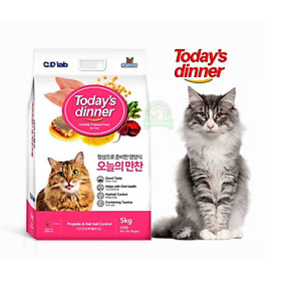Hạt thức ăn cho mèo Today