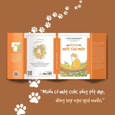 Sách - Qua Lăng Kính Của Một Chú Mèo - AZ Việt Nam