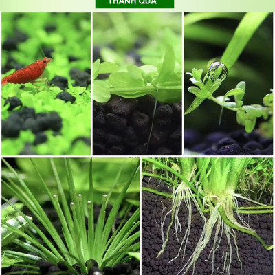 Phân nền thủy sinh DIAMAX AQUA 2KG + 2 Xốp Lọc Bể Cá 90x30cm vật liệu lọc nước hồ cá siêu sạch 