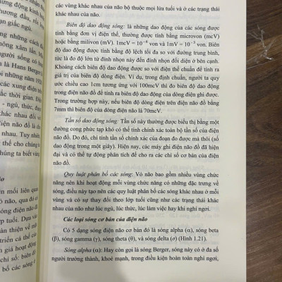 Sách - Khoa Học Thần Kinh Trong Giáo Dục (Sách chuyên khảo)