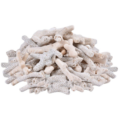 5KG San Hô Vụn vật liệu lọc hồ cá, trang trí bể cá, hồ thủy sinh cao cấp 