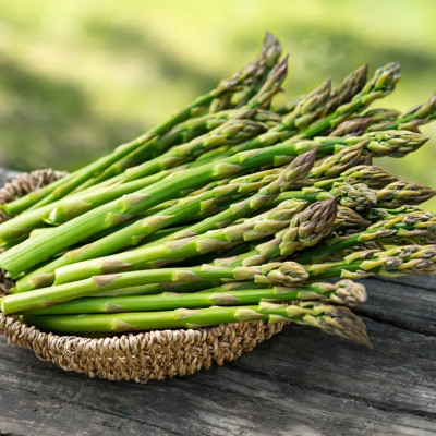 Hạt giống Măng tây Xanh Italy VTP40