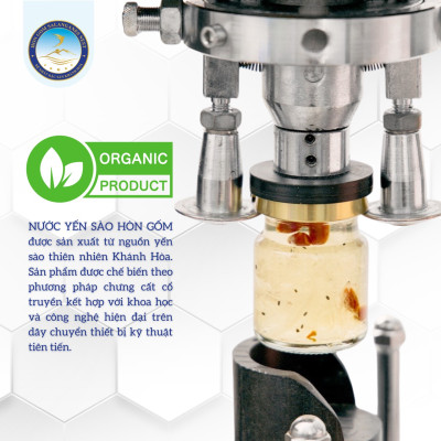 [Hộp 6 Hũ] Tổ Yến Chưng Đông Trùng Hạ Thảo - Yến Sào Hòn Gốm Chính Hiệu Khánh Hòa - HGK NEST