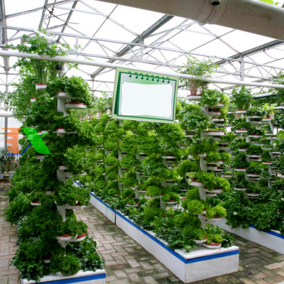 Máy bơm nước AP3500 60W, 3000LH dùng cho bể cá, hồ thủy sinh, hòn non bộ, thủy canh... Hàng chuẩn loại 1. Siêu bền, tiết kiệm điện. Bảo hành uy tín