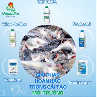 Vemedim Anti-fungi cá đặc trị nấm thủy mi, nhiễm khuẩn mang, nấm trong môi trường ao nuôi, chai 100ml