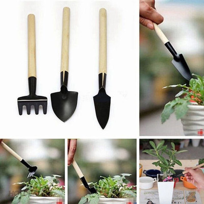 Bộ Dụng Cụ Làm Vườn Mini 3 Món (Cuốc, Xẻng, Cào) Cán Gỗ Tiện Lợi Cho Việc Trồng Chăm Sóc Cây Cảnh, Sen Đá, Xương Rồng, Bonsai