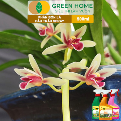 Bộ 3 Phân Bón Lá Đầu Trâu Spray 1, 2, 3 Greenhome, Bình Điền, Chai 500ml, Cao Cấp, Chuyên Cho Hoa Kiểng