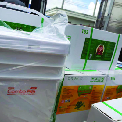 Vi sinh thế hệ mới COMBO AG New