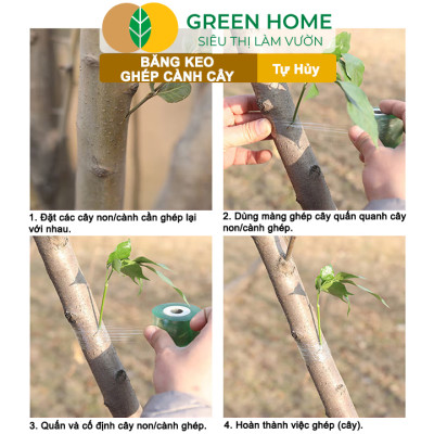 Keo Ghép Cành GreenHome, Dụng cụ làm vườn, Bảo Vệ Mối Ghép Nhanh Liền, Tự Dính, Tự Huỷ, Dễ Sử Dụng