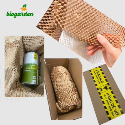 Bột matcha hữu cơ (hạng A) 100gr - Dragon Superfoods