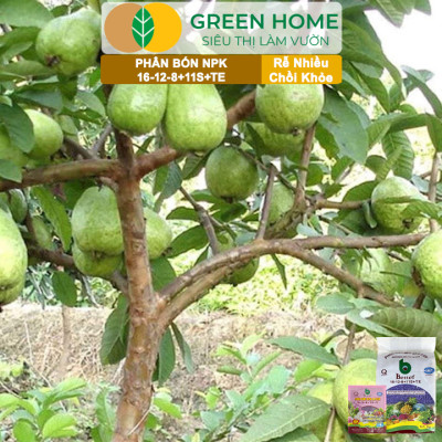 Phân bón NPK 16-12-8-11S+TE Greenhome, Better, Bao 1kg, Phát Triển Nhanh Thân, Cành, Lá, Bộ Rễ