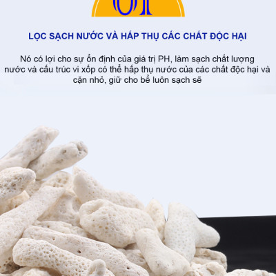 6KG San Hô Vụn vật liệu lọc hồ cá, trang trí bể cá, hồ thủy sinh cao cấp 