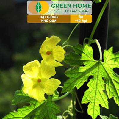 Hạt Giống Khổ Qua Greenhome, Gói 1gr~10 hạt, Dễ Trồng Quanh Năm, Nảy Mầm Cao, Thu Hoạch Nhanh, Năng Suất Cao T05