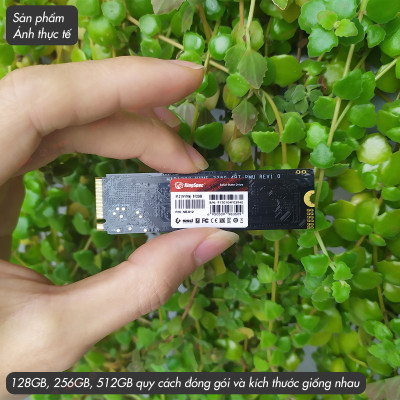 Ổ cứng SSD KingSpec 256GB / NE - 256G , M2 PCIe NVMe - Hàng Chính Hãng
