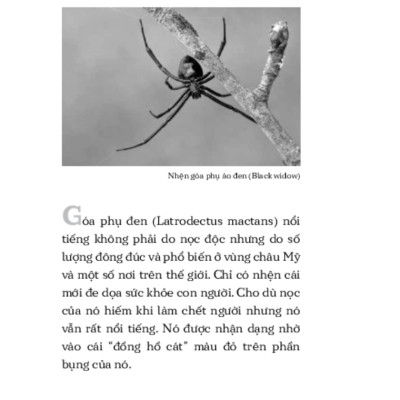 Những Nguy Hiểm Từ Thiên Nhiên _TRE