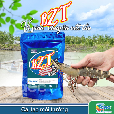 Vi sinh BZT – Chế phẩm vi sinh hỗ trợ kiểm soát tảo và cải thiện môi trường nước ao nuôi