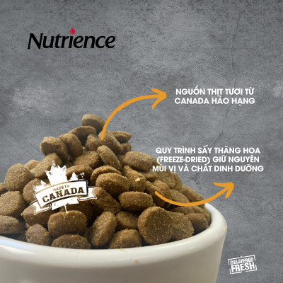 Thức Ăn Cho Chó Giống Nhỏ Nutrience Infusion Bao 2.27kg - Thịt Gà, Rau Củ & Trái Cây Tự Nhiên