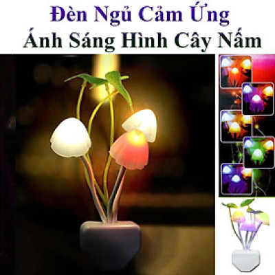 Đèn Ngủ Cảm Ứng Ánh Sáng Hình Cây Nấm