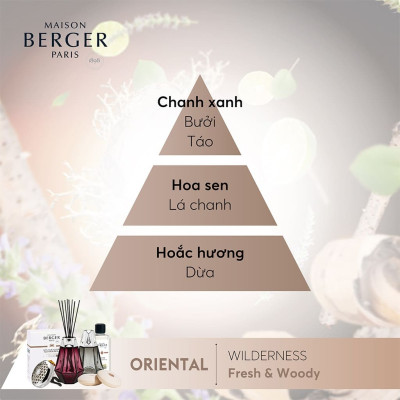 Maison Berger - Bộ đèn xông tinh dầu Prisme Noir - 2 món - 380ml
