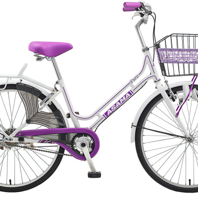 Xe đạp thời trang Asama CLD PU24