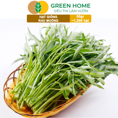Hạt giống rau Muống cao sản, gói 50g~1200 hạt, dễ trồng, thu hoạch nhanh R09
